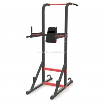 Pull Up & Dip Station -  CB-DR121