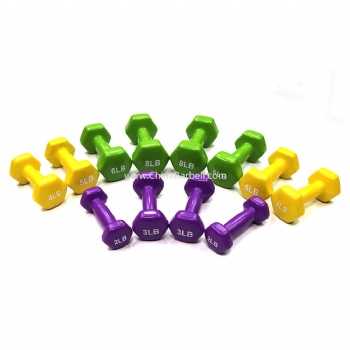 Vinyl Dipping Dumbbell （Hex End）- CB-DB041A