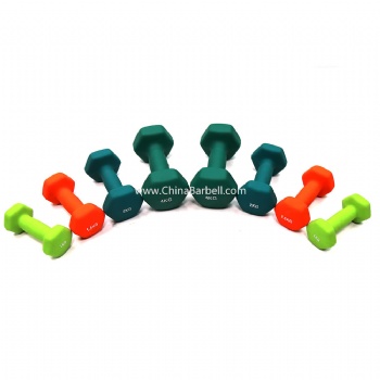 Vinyl/Neoprene Dumbbell  （Hex End）- CB-DB041B